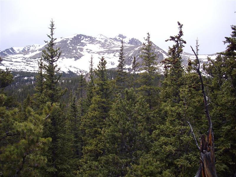 On top of the ridge - finally starting to drop down to the Lawn Lake trail.