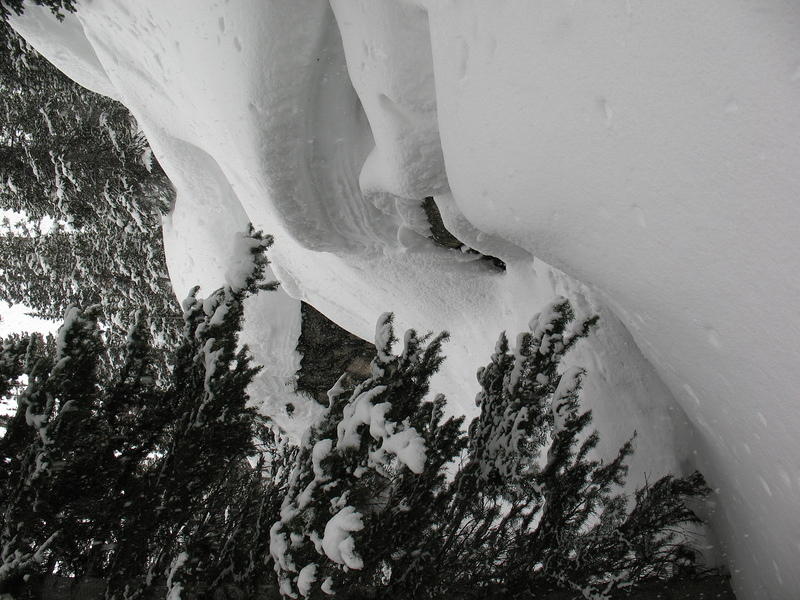 More winter wonderland snow