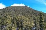 Estes Cone from the SW.