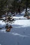 Thankfully there were cairns to follow.  There was a little snow and we didn't have snowshoes.  I let Alan break trail.