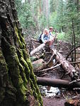 Christian and Hannah sitting on one of the many log jams