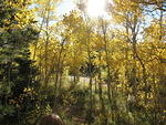 Fall Day in Wild Basin