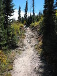 The aspens were so soothing, in the peak of their colors in some places