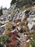 Fall colors as you go up and up, this part of trail was killing me.