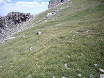 Pretty meadow below the false summit.