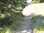 Homestead Meadows Hike 9-2-08