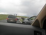 never park on the tundra. . . 