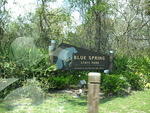 Blue Spring State Park