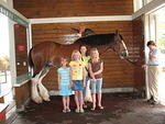 Seaworld is owned by Anheiser Busch so we had to see the Clydesdales and sample the free beer (well not the girls)