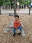 IMG_4405 (Large).jpg
