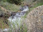Nice little waterfall in the irrigation ditch running through the ranch.