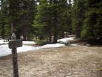 Bighorn mountain group site.