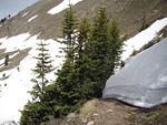 Finally found the trail!  It was covered in so much snow I just had to climb down until I found it.