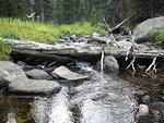 Cool little waterfall through a log